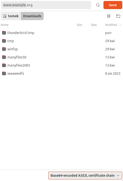 S3Drive - Importing corporate SSL certificate - Windows Server 2022